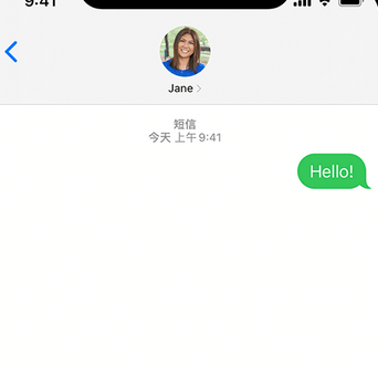 襄城apple维修iPhone上无法正常发送iMessage信息