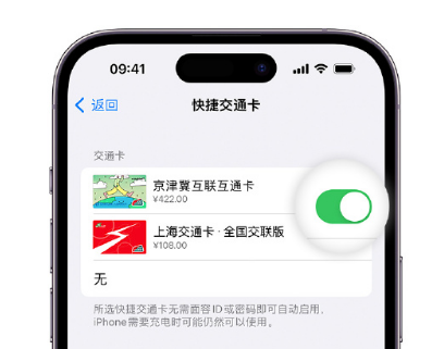 襄城apple维修点分享iPhone上更换Apple Pay快捷交通卡手绘卡面 