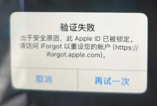 襄城iPhone维修分享iPhone上正常登录或使用AppleID怎么办 