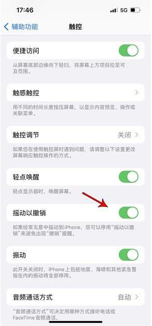 襄城苹果手机维修分享iPhone手机如何设置摇一摇删除文字 