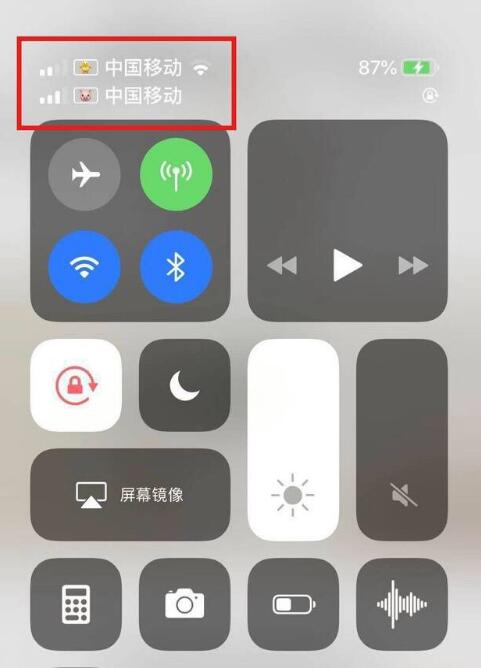 襄城苹果手机维修分享为 iPhone 12 双卡设置标签 